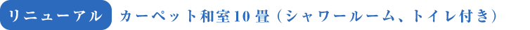 カーペット和室10畳（シャワールーム、トイレ付き）