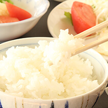 岳園荘 夕食一例09