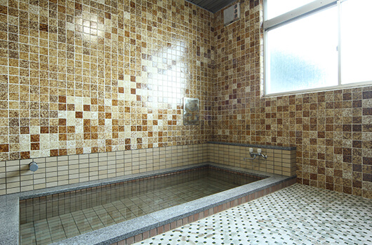 白馬岩岳民宿旅館 岳園荘 女湯